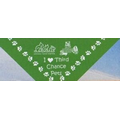 Standard Import Kelly Green Small Triangle Bandanna